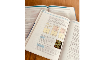 Ehrenamtliche Unterstützung für Schülerin der 9. Klasse in Mathe und Englisch in Oberrad gesucht